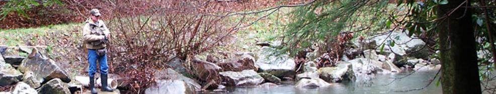 A stream with rocks and trees in the background.